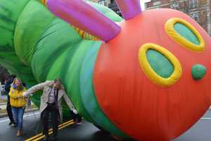 Volunteers Take Caterpillar For A Walk At Stamford Parade Preview