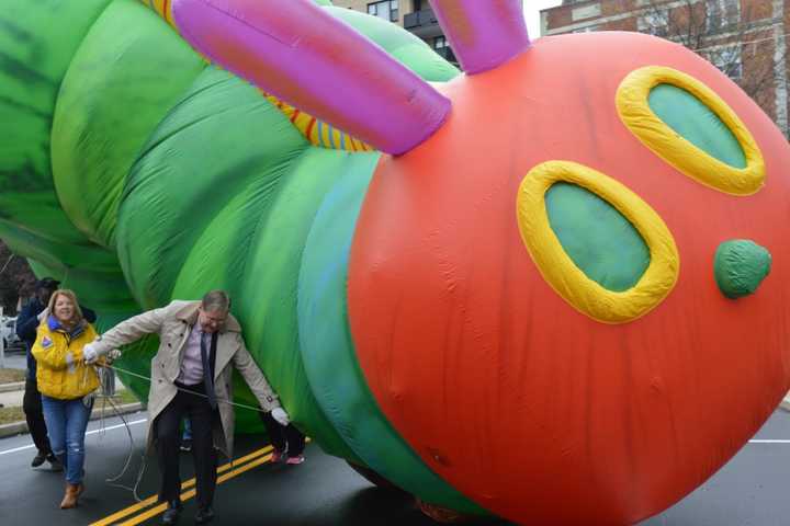 Volunteers Take Caterpillar For A Walk At Stamford Parade Preview