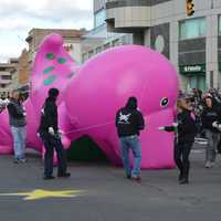 <p>Barney was flying high before he came down to earth at the Stamford Downtown Parade Spectacular.</p>