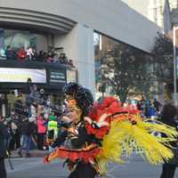 <p>The Stamford Downtown Parade Spectacular welcomed members of Samba New York!</p>