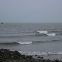 <p>A seagull rides the wind gusts at Bridgeport&#x27;s St. Mary&#x27;s By The Sea during Thursday&#x27;s rainstorm.</p>