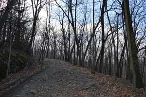In Ringwood: Ring In 2017 With A Hike