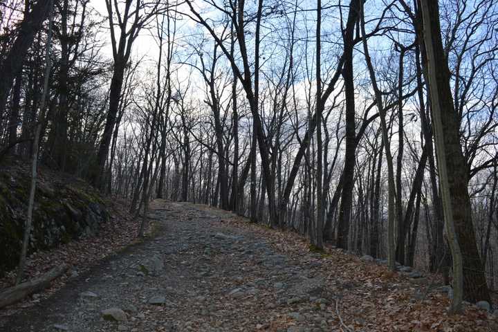 In Ringwood: Ring In 2017 With A Hike