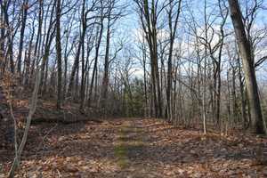 DEP's New App Helps Hikers Navigate Ringwood, West Milford Trails