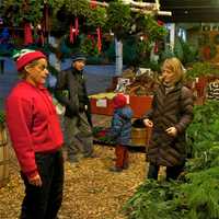 <p>Visitors check out the wreaths at Jones Family Farms.</p>