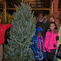 <p>Finding a tree is a family affair at Jones Family Farms.</p>