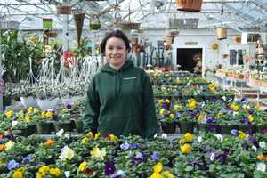 Franklin Lakes Nursery Out Of Firewood But Has Plenty Of Pansies