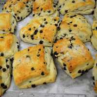 <p>Some blueberry scones made during the Baking Camp.</p>