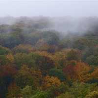 <p>Colors around Bear Mountain State Park were in full bloom over the weekend.</p>