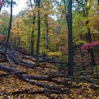 <p>Colors around Bear Mountain State Park were in full bloom over the weekend.</p>