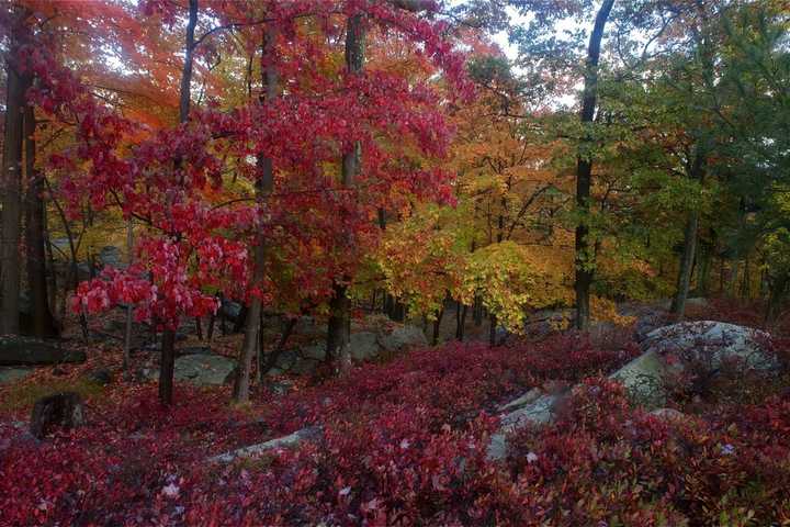 This Location Named Most Beautiful In Rockland County