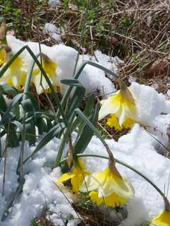 Showers Hit Fairfield Thursday, Snow Likely This Weekend