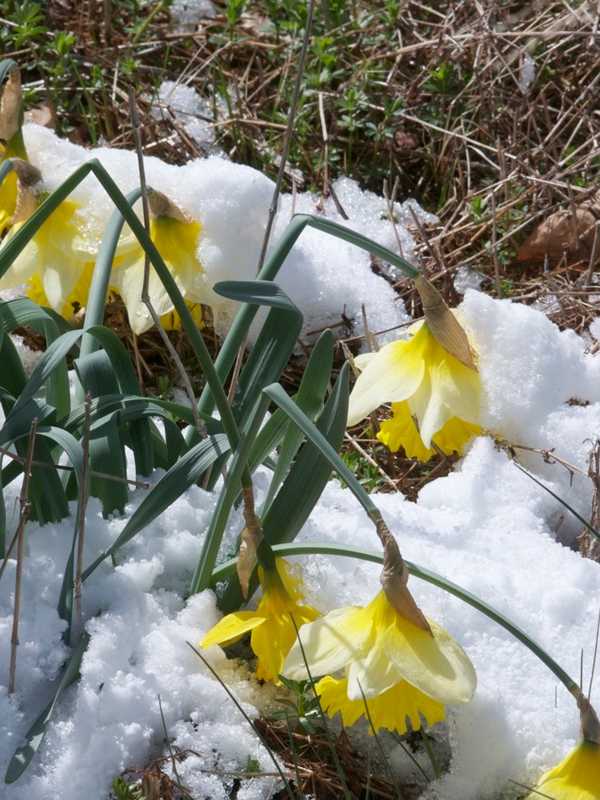 Showers Hit Fairfield Thursday, Snow Likely This Weekend