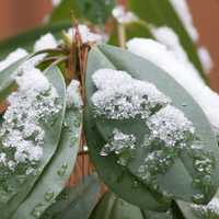 <p>Most of Dutchess and Putnam woke to a blanket of snow Sunday morning.</p>