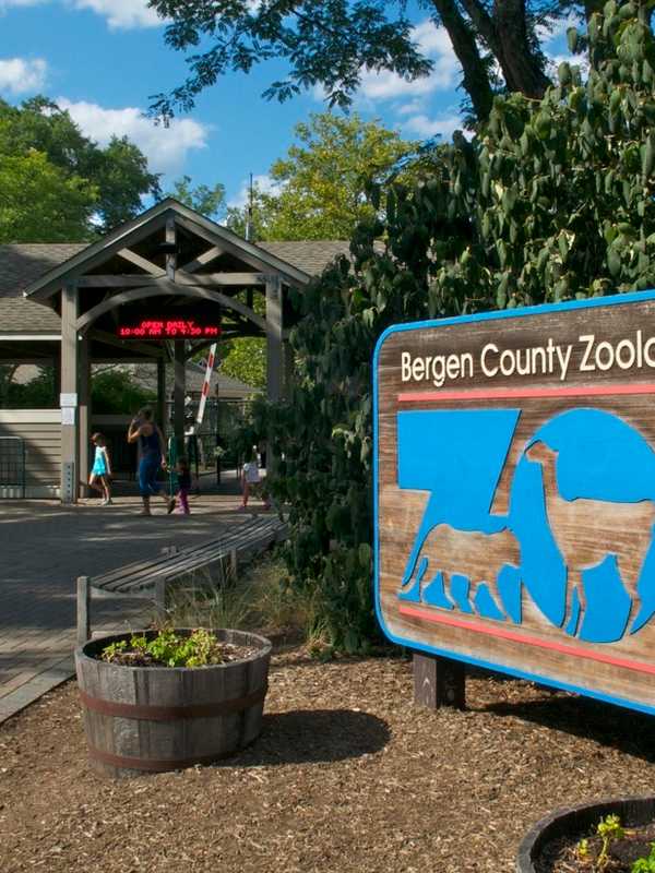 Bergen County Zoo Organizes Autism Awareness Day