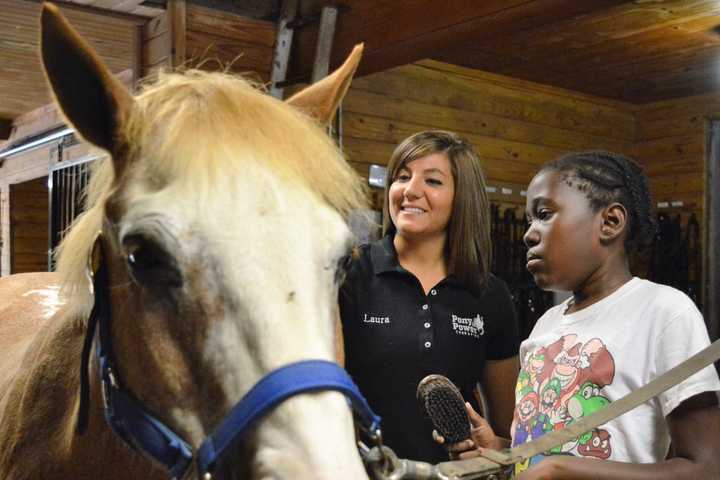 Mahwah Ponies Hold Healing Power For Ill Children