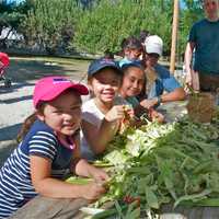 <p>Corn related, family activities are the focus at Sleepy Hollow&#x27;s &#x27;Cornucopia&#x27; at Philipsburg Manor. </p>