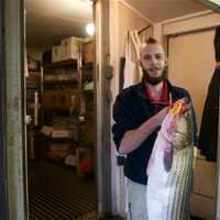 <p>Assistant Manager Zachary Redin gets set to slice up a striped bass.</p>