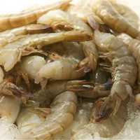 <p>Raw shrimp sits on ice.</p>