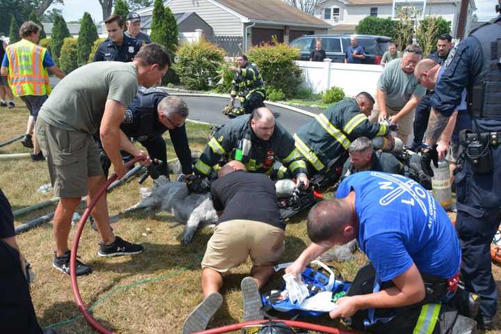 19-Year-Old Woman, Three Dogs Rescued From Islip Terrace House Fire