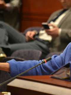 Darien Rep. Wood Pushing For Fewer Polling Places For Primaries