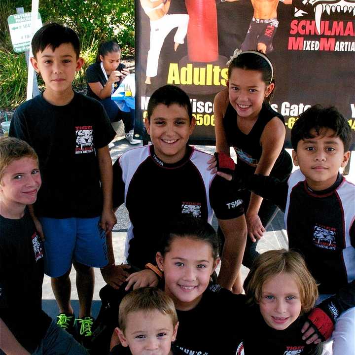 Kids and adults found plenty to do and see at Mount Kisco Sale Days. Kids from Schulman&#x27;s Mixed Martial Arts pose for a photo here.