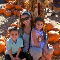 <p>Silverman&#x27;s Farm in Easton features an animal farm along with lots and lots of pumpkins.</p>