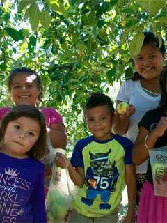 'Sweeten' Your Fall Apple Picking At Bethel's Blue Jay Orchards