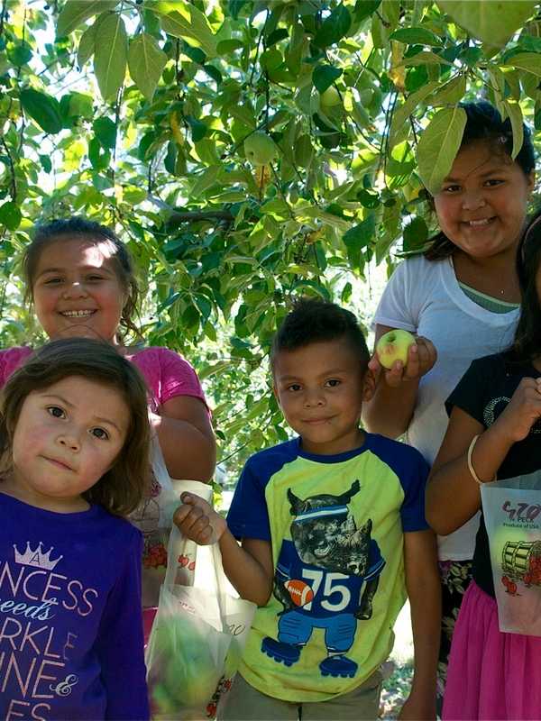 'Sweeten' Your Fall Apple Picking At Bethel's Blue Jay Orchards