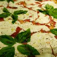 <p>Margarita pizza at Giacomo&#x27;s.</p>