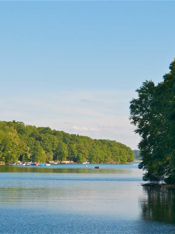 Blue-Green Algae On Brookfield’s Lakes Causes Concerns
