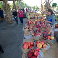 <p>Visitors pack Outhouse Orchards on fall weekends for apples, pumpkins, baked goods, and more.</p>