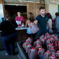 <p>Apple cider is a top seller at Outhouse Orchards.</p>