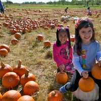 <p>Kids enjoy the pumpkin patch at Outhouse Orchards. </p>