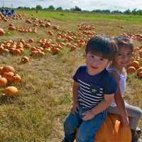 <p>The pumpkin patch is open at Outhouse Orchards.</p>