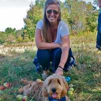 <p>A woman and her dog enjoy the apple picking at Outhouse Orchards.</p>