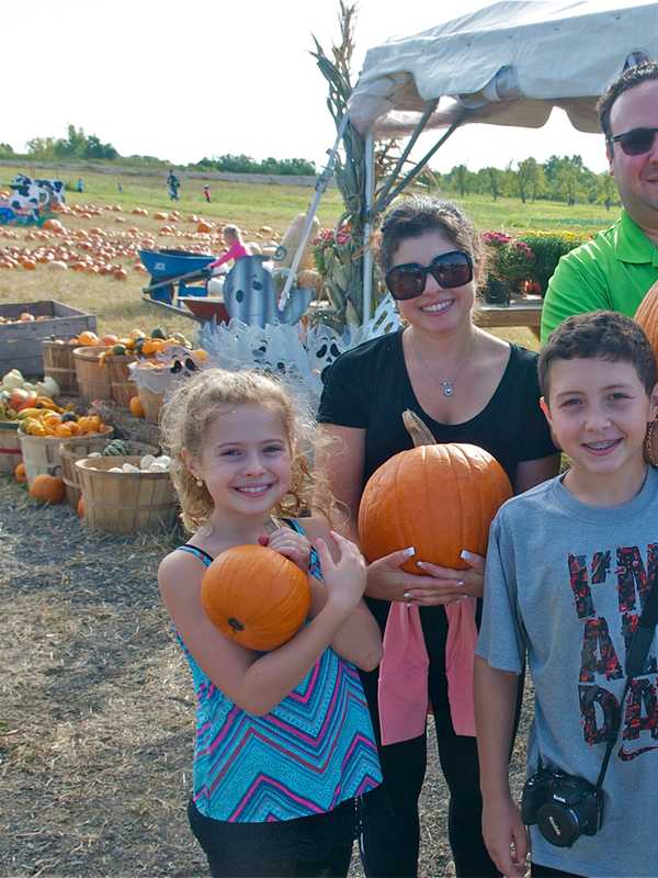 Find Your Perfect Pumpkin At One Of Westchester's Numerous Venues