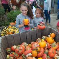 <p>Outhouse Orchards has lots of goodies for kids.</p>