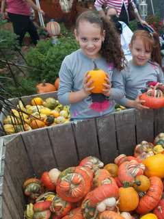 Here's Where To Go For Westchester's Best Apple, Pumpkin-Picking