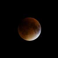 <p>A rare Super Blood Moon was visible in area skies Sunday night. </p>