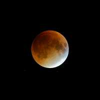 <p>A rare Super Blood Moon was visible in area skies Sunday night. </p>