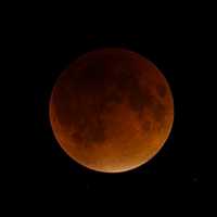 <p>A rare Super Blood Moon was visible in area skies Sunday night. </p>