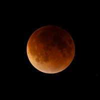 <p>A rare Super Blood Moon was visible in area skies Sunday night. </p>