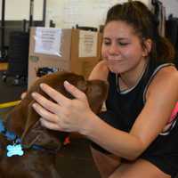 <p>Following her workout, a Guerrilla Fitness athlete recharges with doggie love from Scout, a Hurricane Harvey rescue, in Paramus.</p>