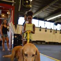 <p>A &quot;Real Dog&quot; and her foster sister wait in line for doughnuts.</p>