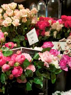 Get Mother's Day Flowers At Buchanan Plant Sale