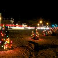 Forest Fires, Droughts, Supply-Chain Issues Could Cause Christmas Tree Shortages