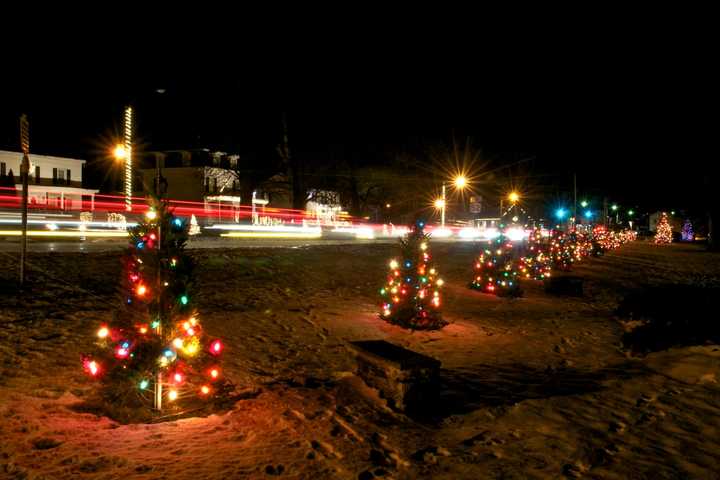 Forest Fires, Droughts, Supply-Chain Issues Could Cause Christmas Tree Shortages