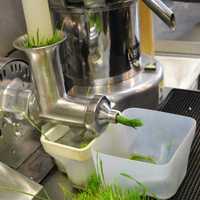 <p>Wheatgrass Shot, step two.</p>