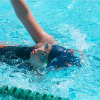 <p>Fifty swim teams from all over Westchester dropped in at Rye Playland this week, as the Playland pool was hosting the 91st annual Westchester County Swim Championships.</p>